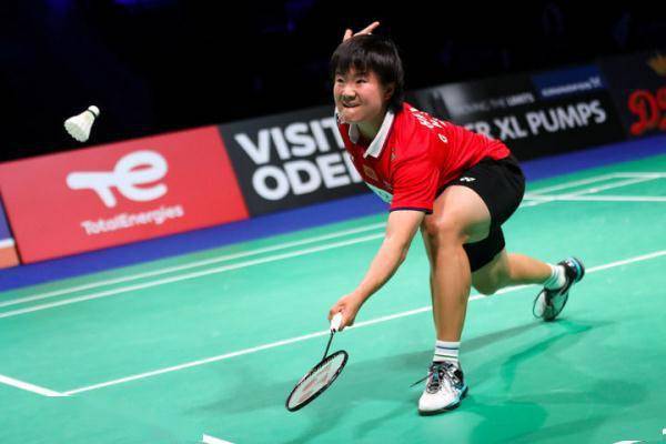 任天堂开发 任天堂开发